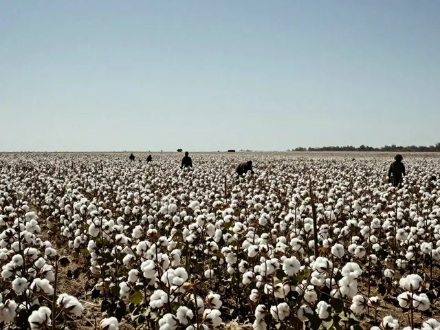 Slavery and Sexual Coercion: Property, Power, and Reproduction